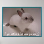 bunny coat posters
