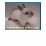 bunny coat t-shirts