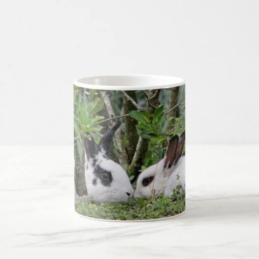 Bunny Couple Mug