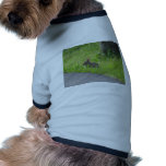 Bunny Croses Street pet clothing