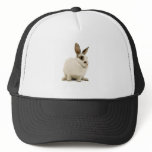 Bunny Mesh Hat