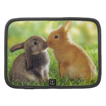 Bunny Kiss Folio Planners