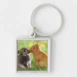 Bunny Kiss Key Chain