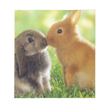 Bunny Kiss Memo Notepads