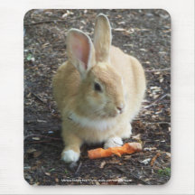Bunny Mouse Pads