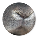 Bunny nose (magnet)