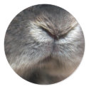 Bunny nose (sticker)