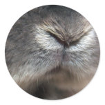 Bunny nose (sticker)