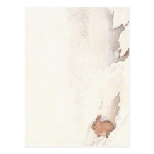 Bunny Post Card