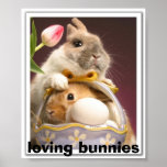 bunny posters