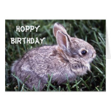Bunny Rabbit Birthday Card