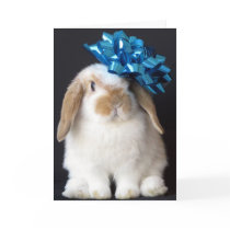 Bunny Rabbit Birthday Greeting Card