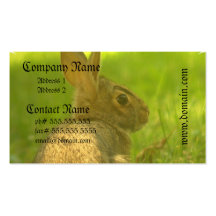 Bunny Rabbit Business Cards
