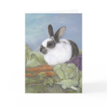 Bunny Rabbit Card