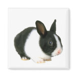 Bunny Rabbit Magnet