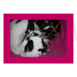 Bunny with Bow Blank Card