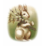 Bunny with Pussy Willow T-Shirt