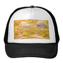Bunte Natur Hats