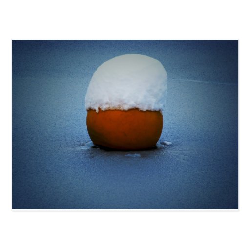 Buoy in icy water postcard