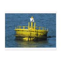 Buoy Post Cards