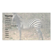 Burchell's Zebra Business Card