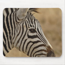 Burchell's Zebra, Equus burchellii, Ngorongoro Mousepad
