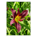 Burgundy Lily Cards
