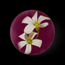 Burgundy Wine buttons