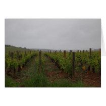 Burgundy Wine Country 1 cards