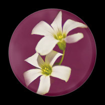 Burgundy Wine magnets