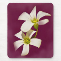 Burgundy Wine mousepads