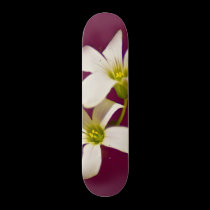 Burgundy Wine skateboards