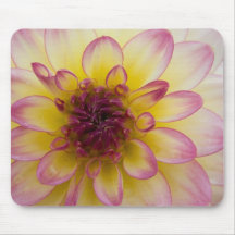 Burgundy, Yellow & White Dahlia Mousemats