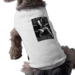 Burlesque Baby Doll pet clothing