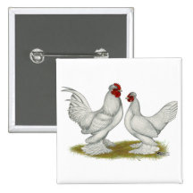 Burmese Bantams Buttons