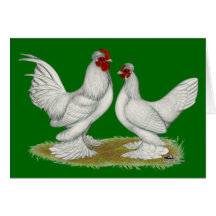 Burmese Bantams Cards