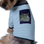 Burmese, blue pet tee