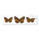 Burmese Lascar Butterfly Bumper Sticker