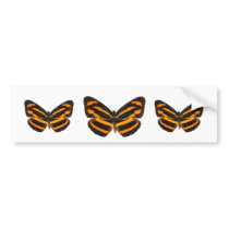 Burmese Lascar Butterfly Bumper Sticker
