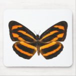 Burmese Lascar Butterfly Mousepad