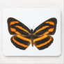 Burmese Lascar Butterfly Mousepad