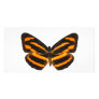 Burmese Lascar Butterfly Photo Card Template