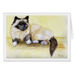 Burmese Seal Point Cat cards