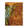 Burned Wood & Oil Painted Flowers Postcards