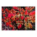 Burning Bush Abstract ATC Business Card Template