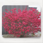 Burning  Bush, Mousepad