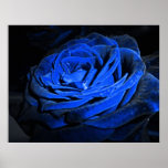 Burnt blue posters