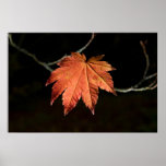 Burnt Orange Leaf Poster/Print