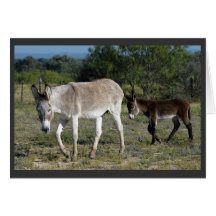 "Burra and Burrito #2" Greeting Cards