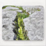 Burren Plants Limestone Rocks Mouse Pads
